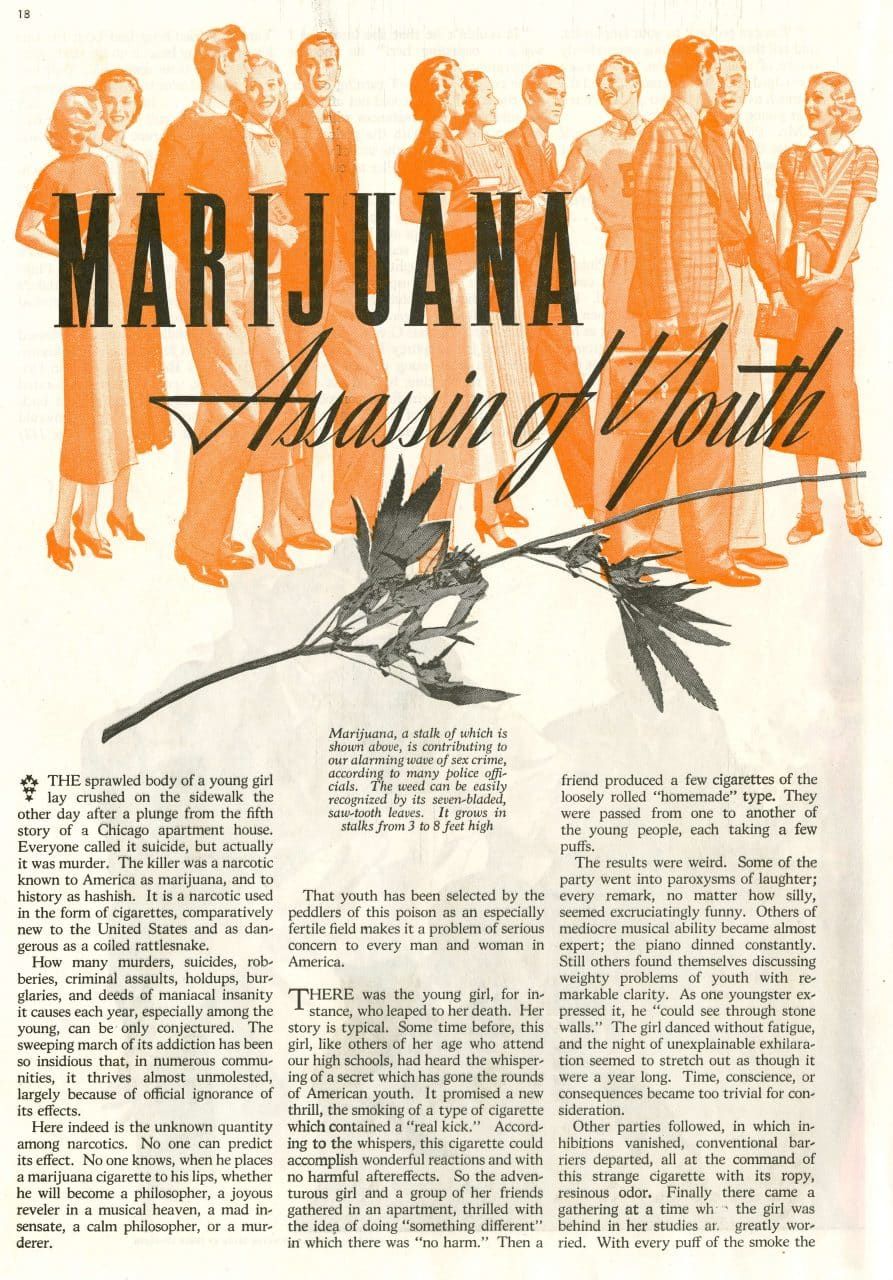 Opening magazine page headed Marijuana, Assassin of Youth, with orange drawings of young people above a cannabis branch