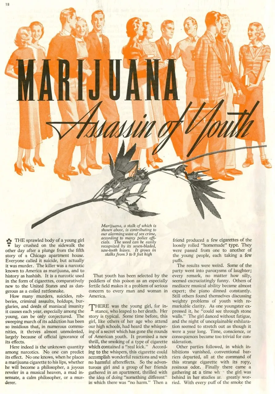 The American Magazine page of Marijuana, Assassin of Youth