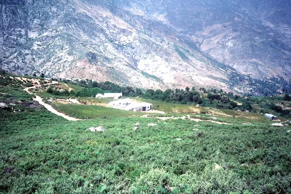 Cannabis fields on terraced hillsides in the Rif mountains