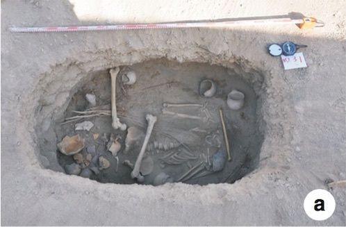 Overhead archaeological photograph of a 2,500-year-old grave in Xinjiang containing human skeletal remains and thirteen preserved cannabis plants laid across the body.