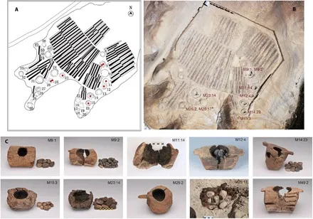 Wooden braziers and burnt stones from the Jirzankal tombs, with a plan and aerial view of the cemetery