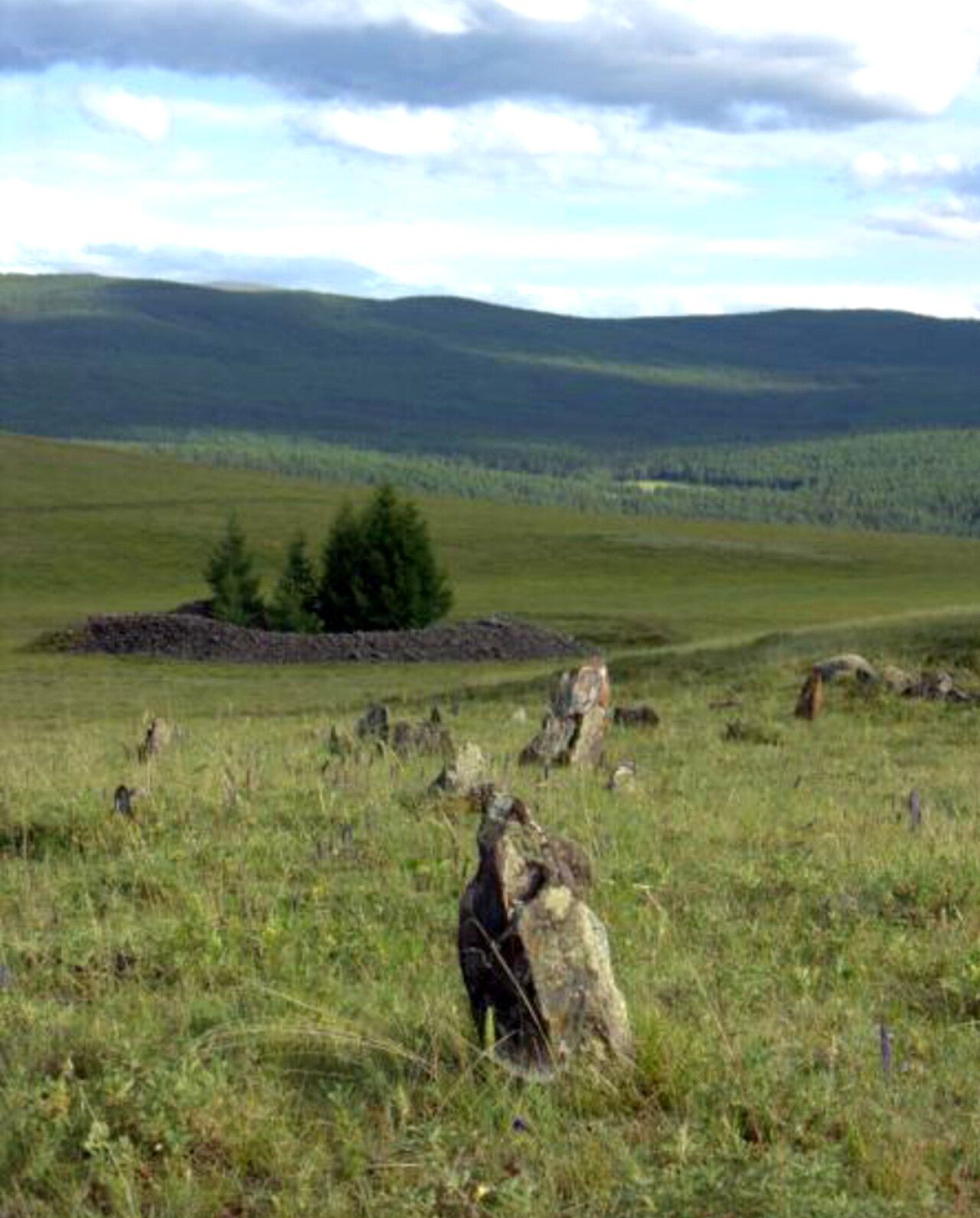 Low stone burial mounds in a mountain valley