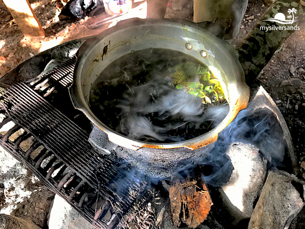 Documentary photograph of a steaming metal pot filled with green leaves over a rustic wood fire at a Jamaican Rastafari farmer's home.
