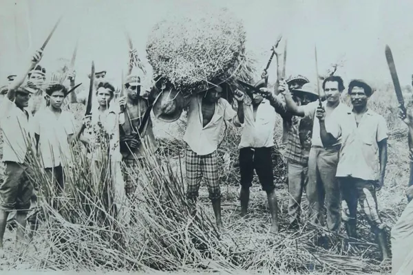 Historical black-and-white photograph showing a group of Colombian agricultural workers standing among marsh vegetation, carrying bundles of reeds and agricultural tools in Córdoba, 1976.