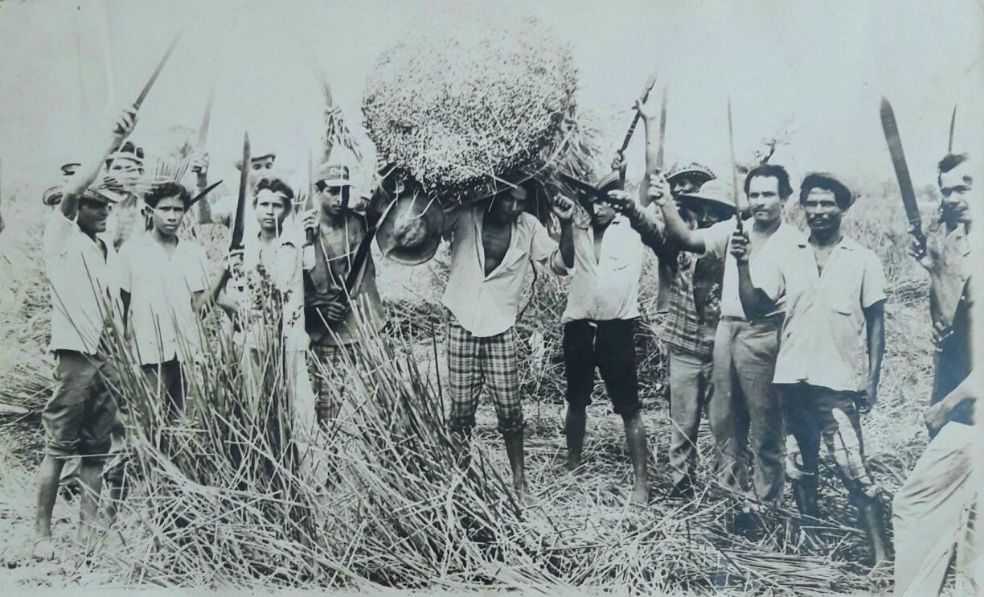 Historical black-and-white photograph showing a group of Colombian agricultural workers standing among marsh vegetation, carrying bundles of reeds and agricultural tools in Córdoba, 1976.