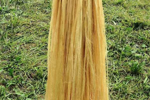 A wooden wand hung with long strands of pale hemp fibre